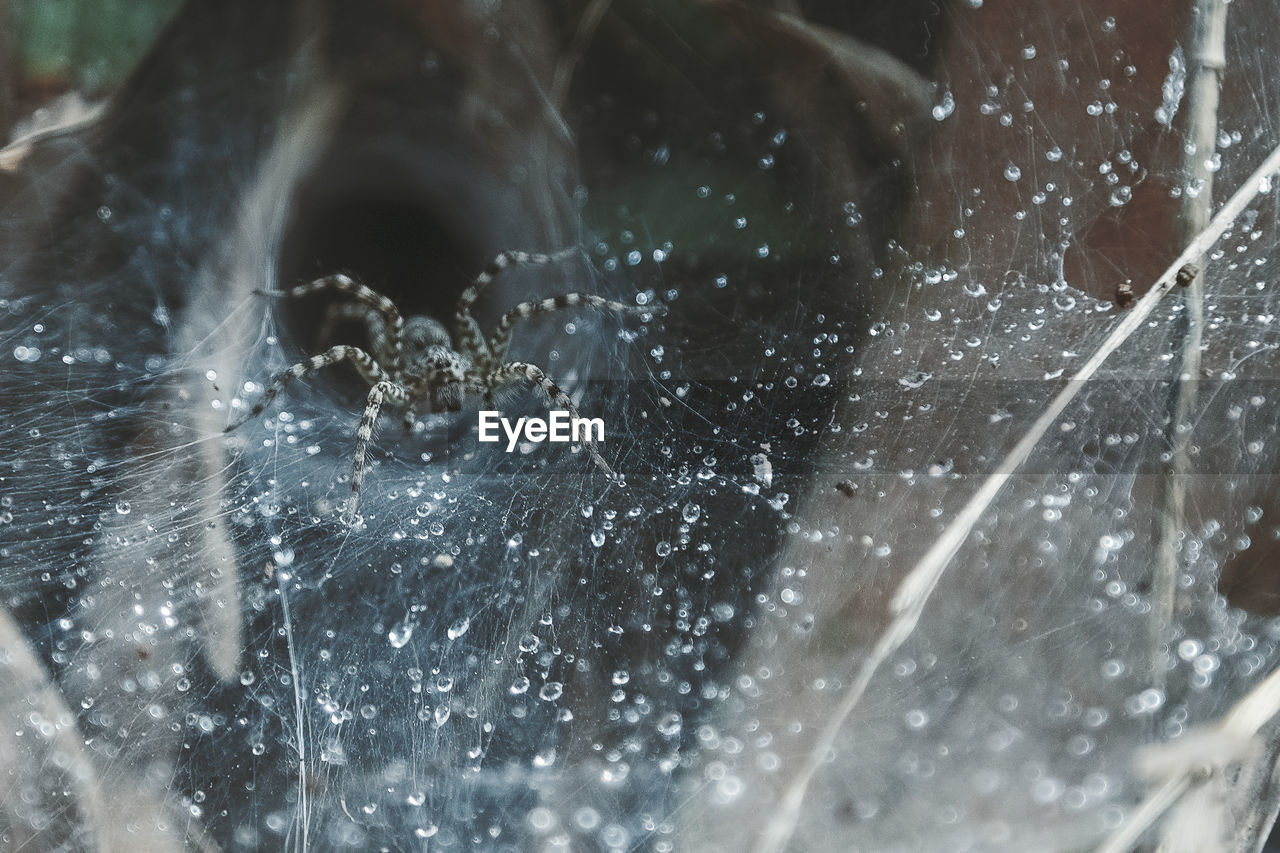 CLOSE-UP OF WATER SPLASHING IN A BLURRED MOTION