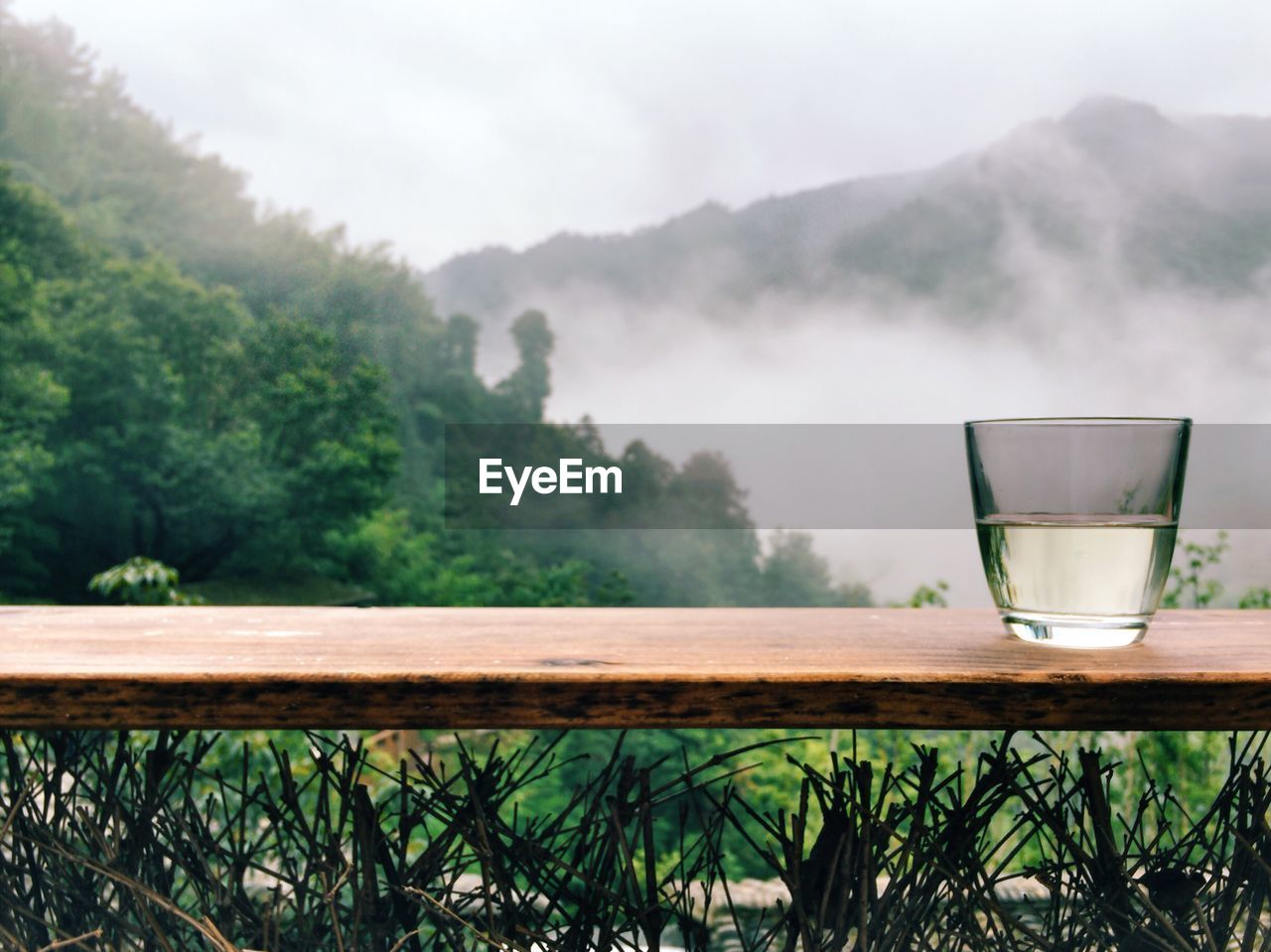 Close-up of tea on wooden table against trees during foggy weather