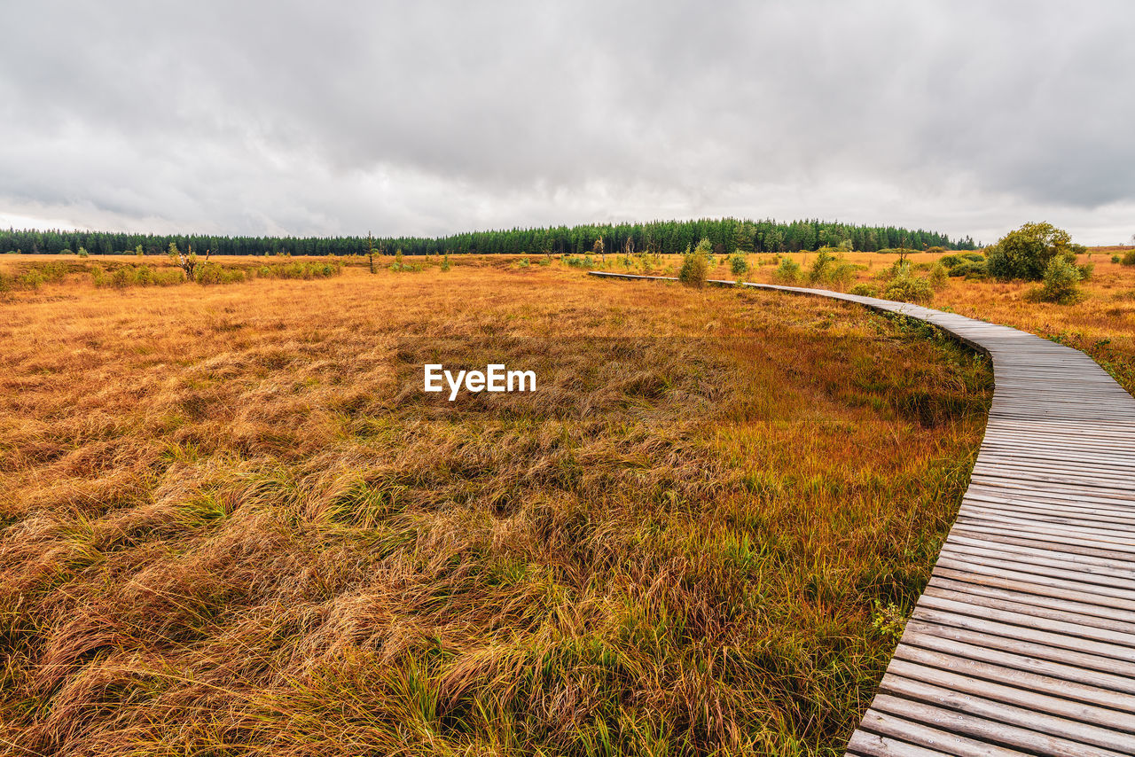 Landscape in the high fens nature park in the eifel, belgium.