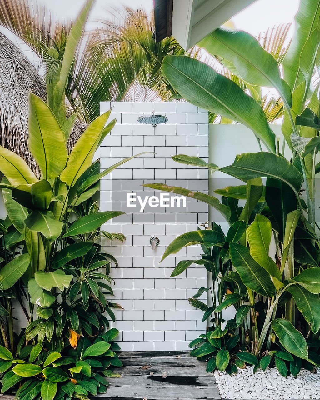 Lush green outdoor shower in bali.