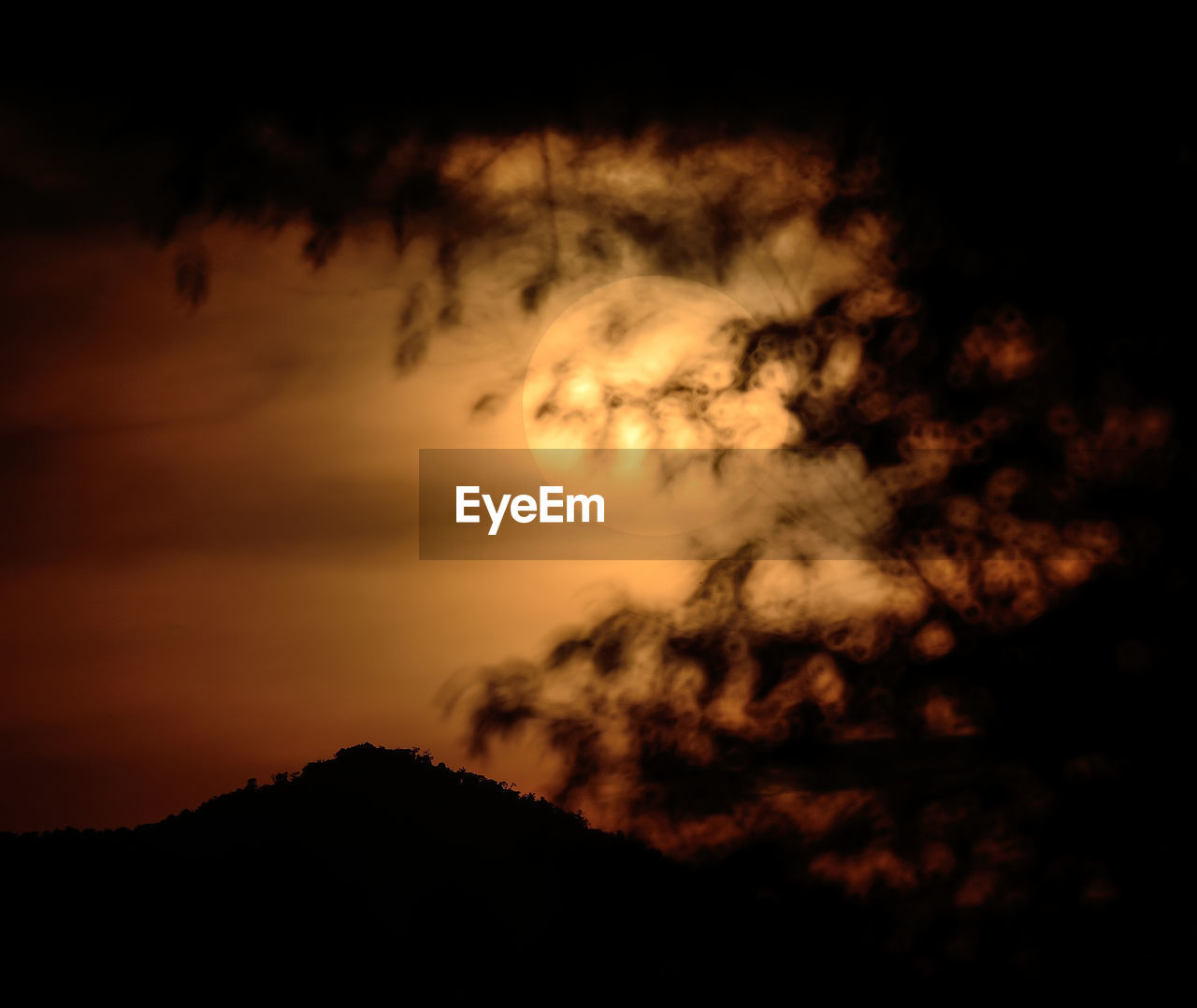 Low angle view of silhouette trees against sky during sunset