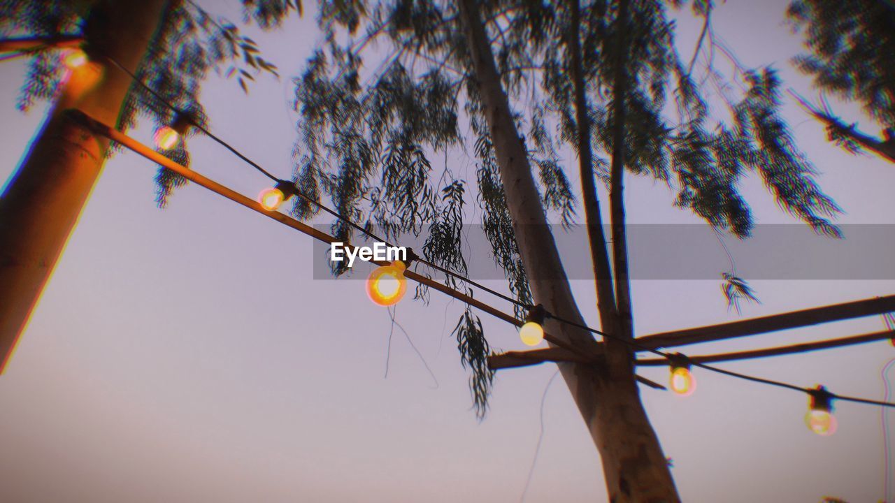 Low angle view of illuminated lighting equipment and tree against sky during sunset