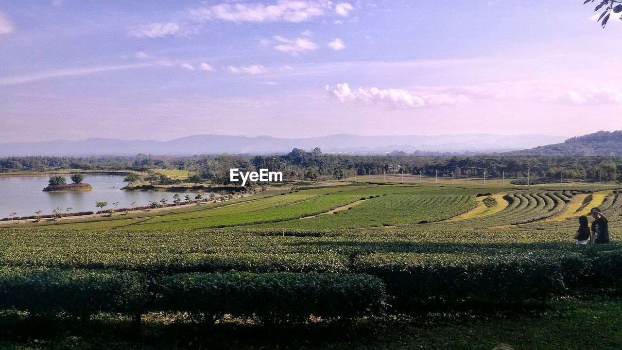 SCENIC VIEW OF RURAL LANDSCAPE AGAINST CLOUDY SKY