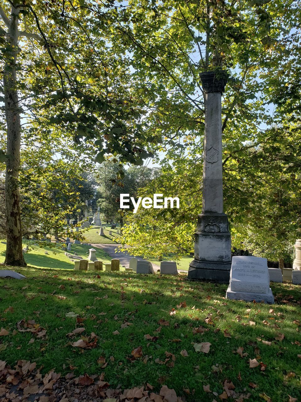 VIEW OF CEMETERY