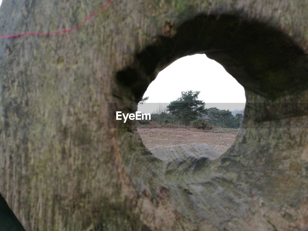 CLOSE-UP OF ARCHED STRUCTURE AGAINST TREES