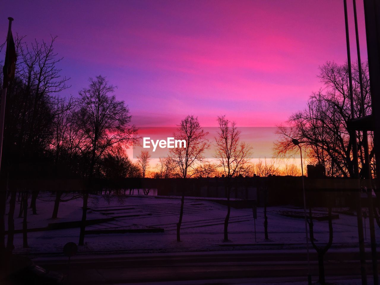 SILHOUETTE OF TREES AGAINST SKY AT SUNSET