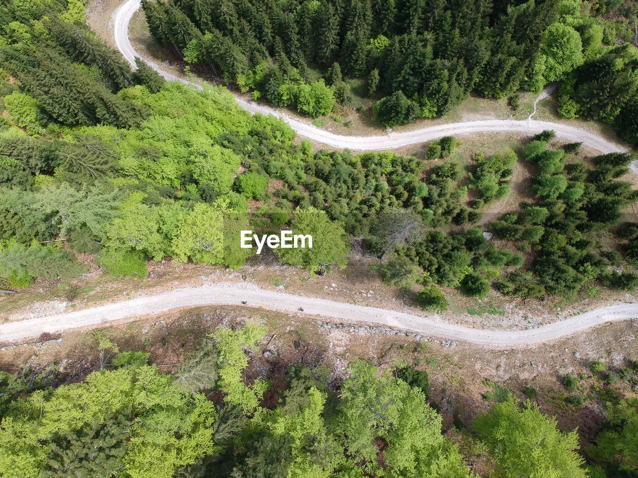 High angle view of road amidst trees