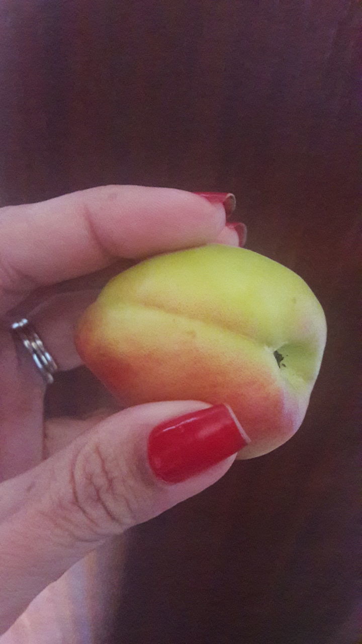 CLOSE-UP OF HANDS HOLDING FRUIT