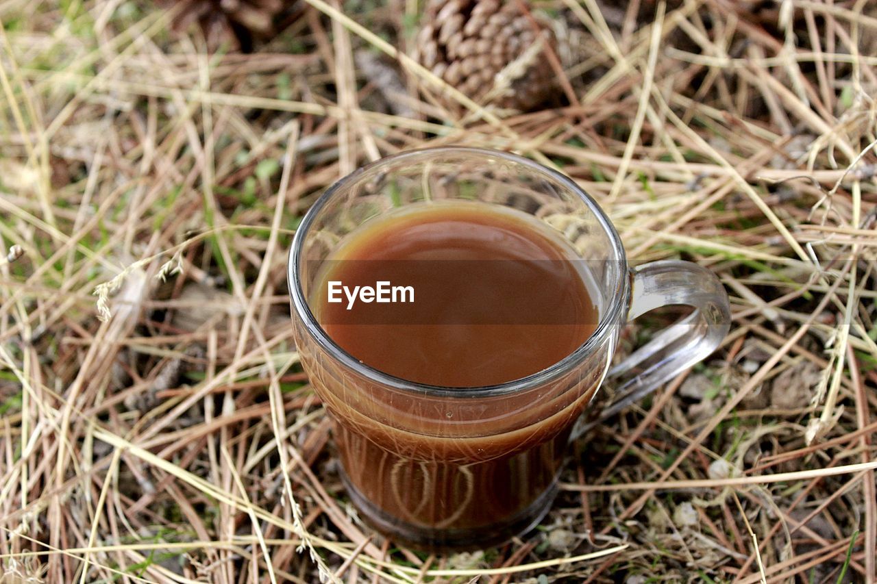 HIGH ANGLE VIEW OF TEA IN GLASS