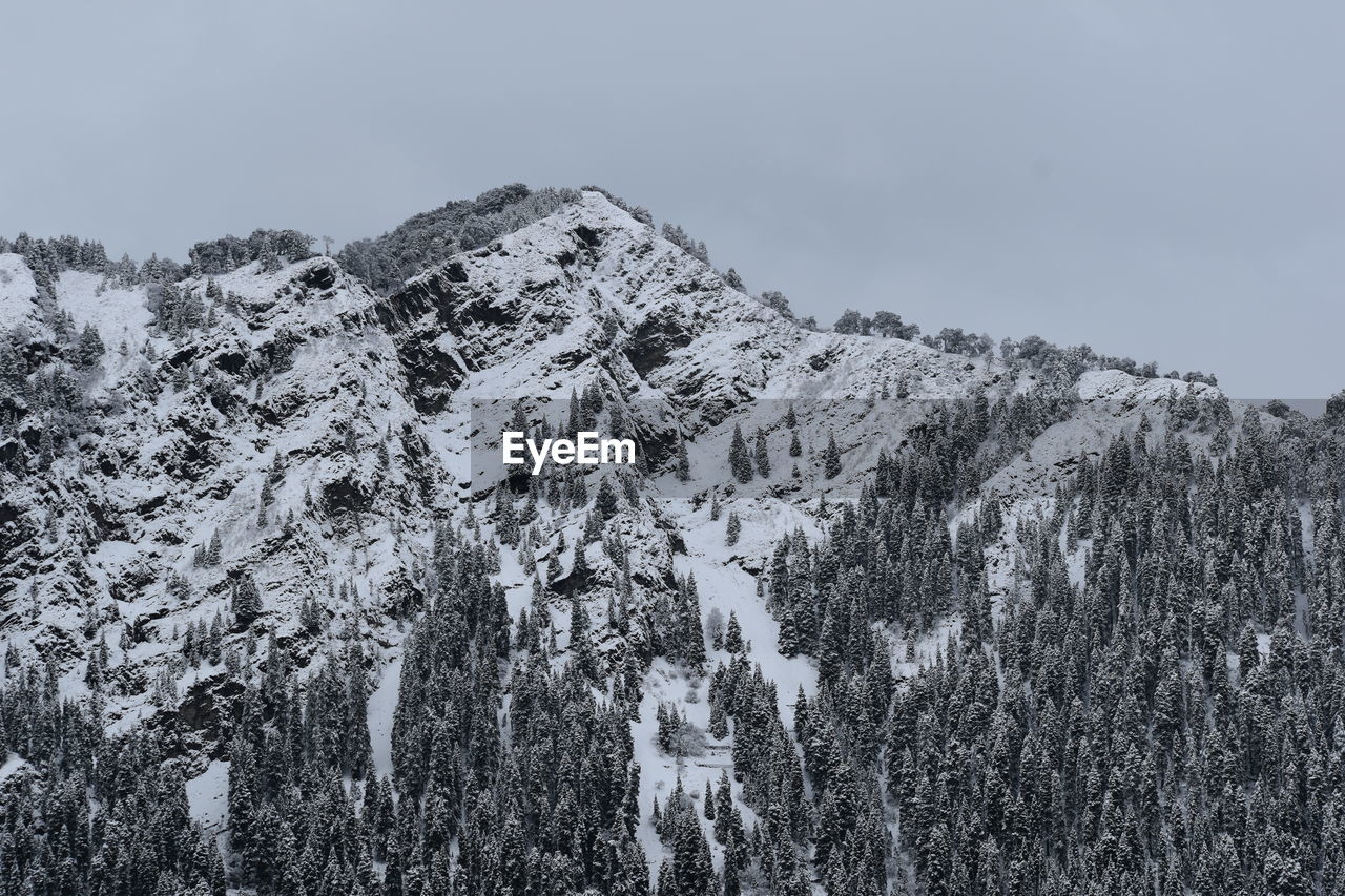 LOW ANGLE VIEW OF SNOWCAPPED MOUNTAIN AGAINST CLEAR SKY