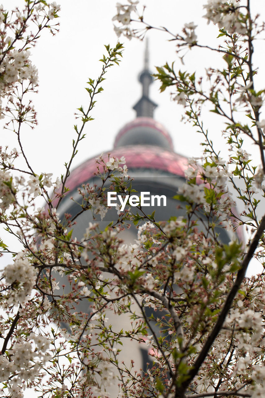 plant, tree, flower, blossom, spring, branch, nature, architecture, low angle view, travel destinations, no people, leaf, religion, built structure, sky, cherry blossom, building exterior, beauty in nature, tower, belief, outdoors, flowering plant, place of worship, springtime, history, day, city, travel, tourism, spirituality, the past, autumn, growth, temple - building, freshness, building