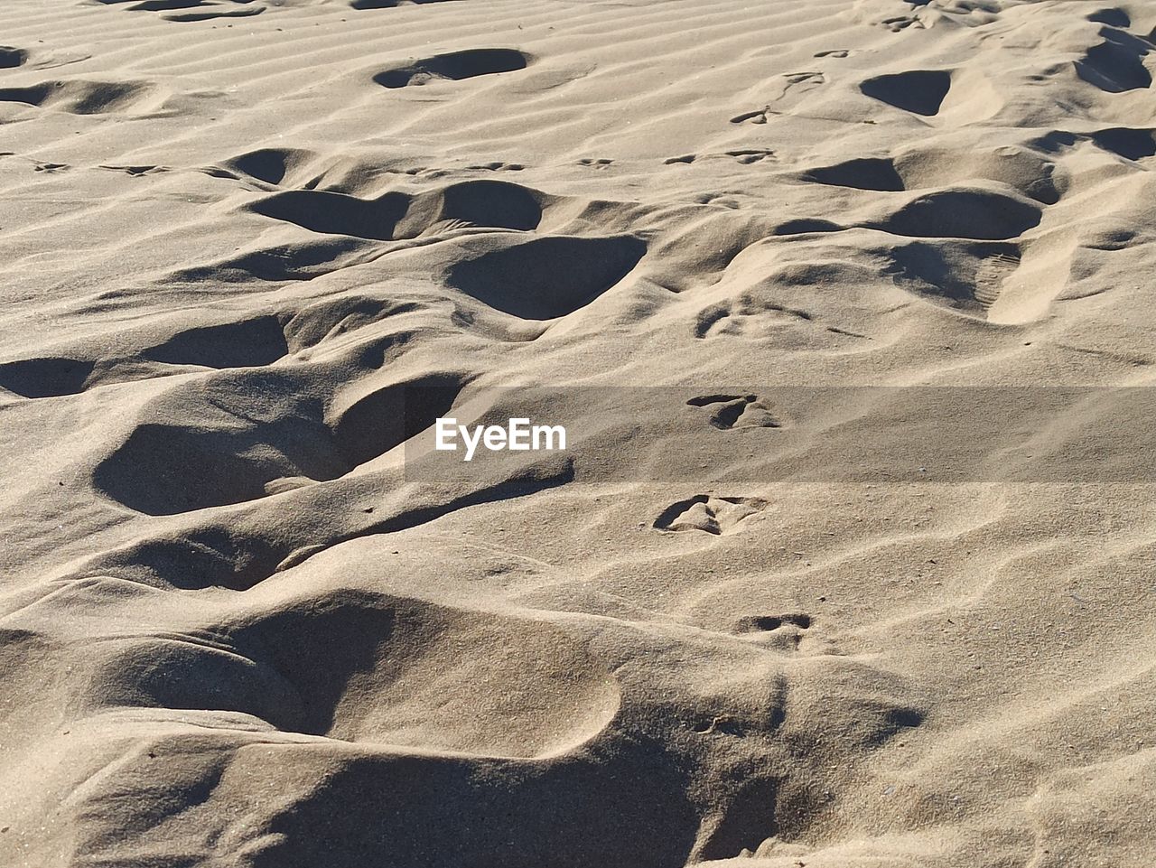 HIGH ANGLE VIEW OF SAND DUNES AT BEACH