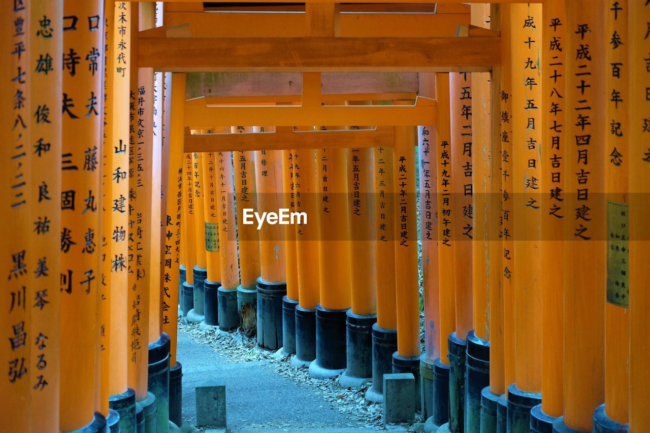 Torii gates at shrine