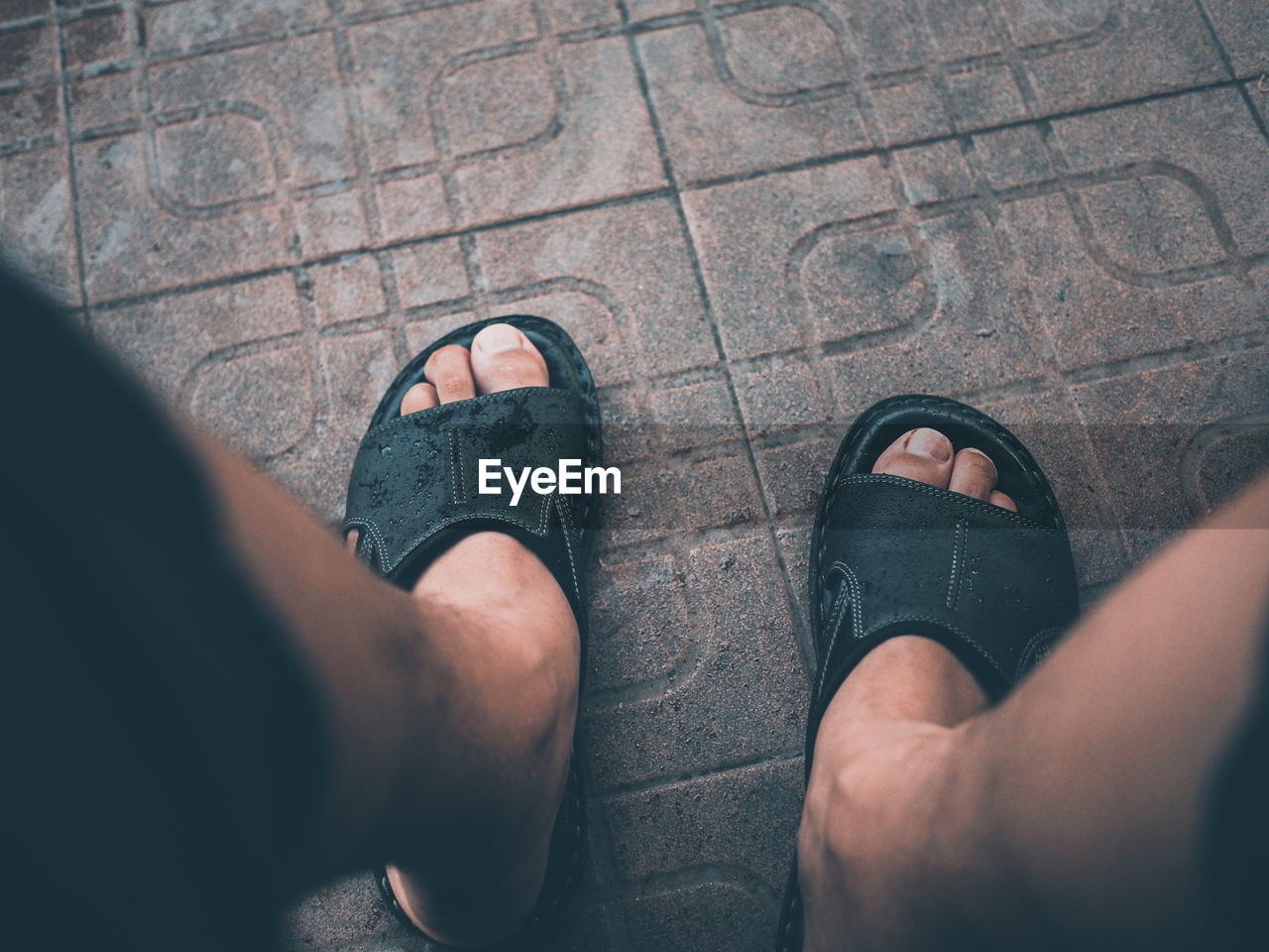 Low section of man wearing sandals on footpath