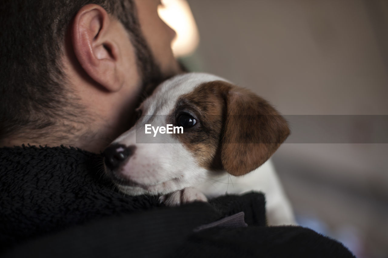 Close-up of man holding puppy at home