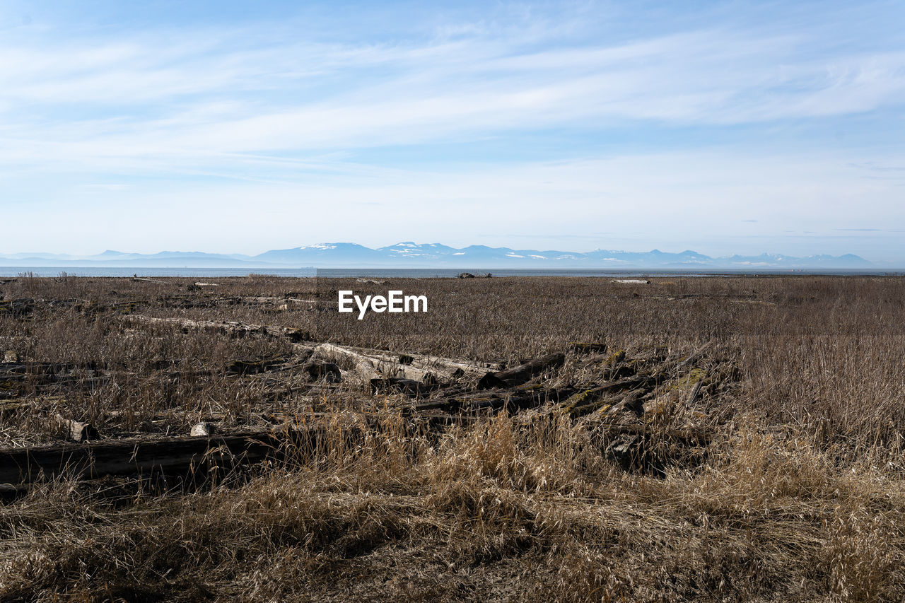 SCENIC VIEW OF LAND AND LANDSCAPE AGAINST SKY