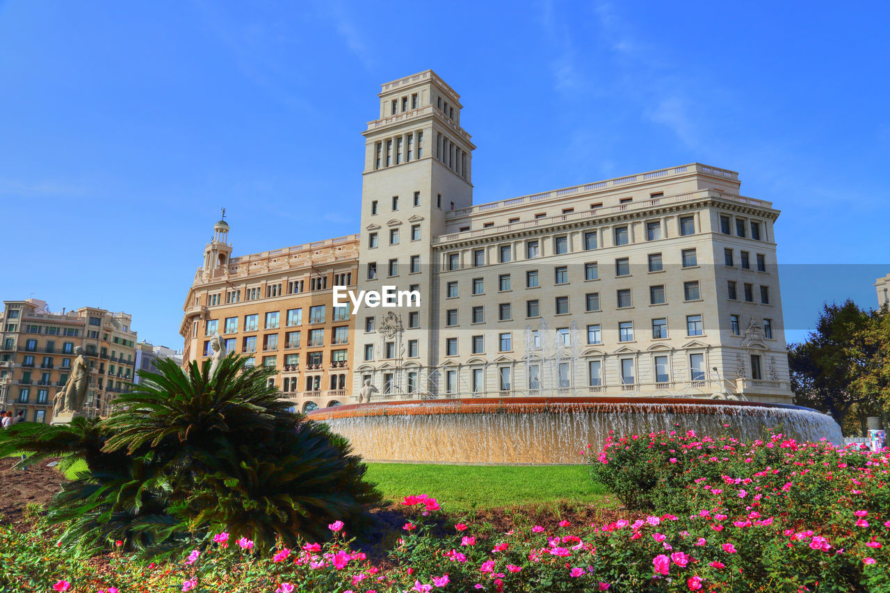 VIEW OF FLOWERING PLANTS BY BUILDING AGAINST SKY