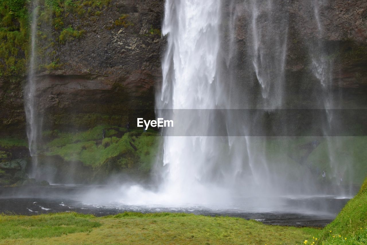 VIEW OF WATERFALL AGAINST TREES