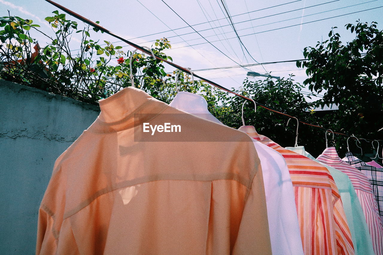 Clothes drying on clothesline against trees