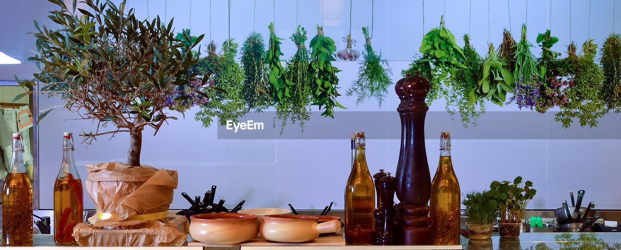 POTTED PLANT ON TABLE AGAINST TREES