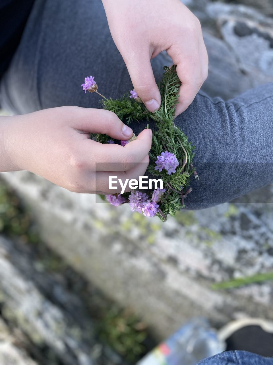 CLOSE-UP OF HAND HOLDING PURPLE FLOWER ON PLANT