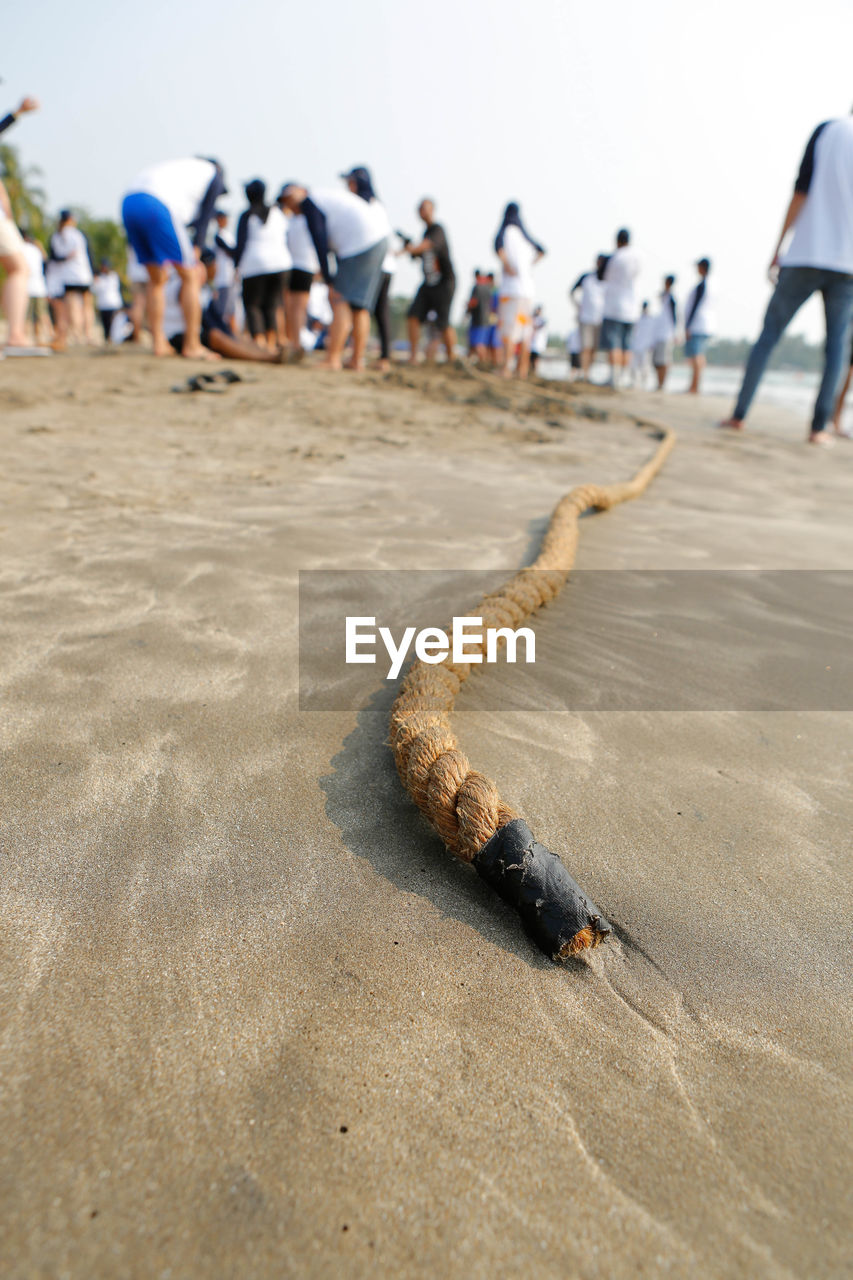 Volunteers cleaning beach against sky