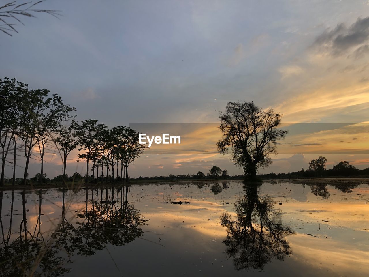 SCENIC VIEW OF LAKE BY TREES AGAINST SKY AT SUNSET