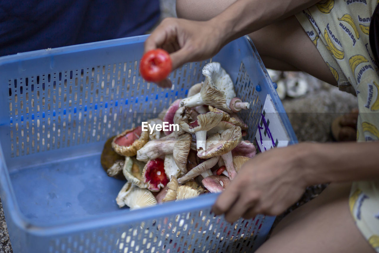 High angle view of person preparing food