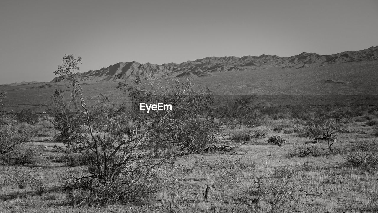 LANDSCAPE AGAINST CLEAR SKY