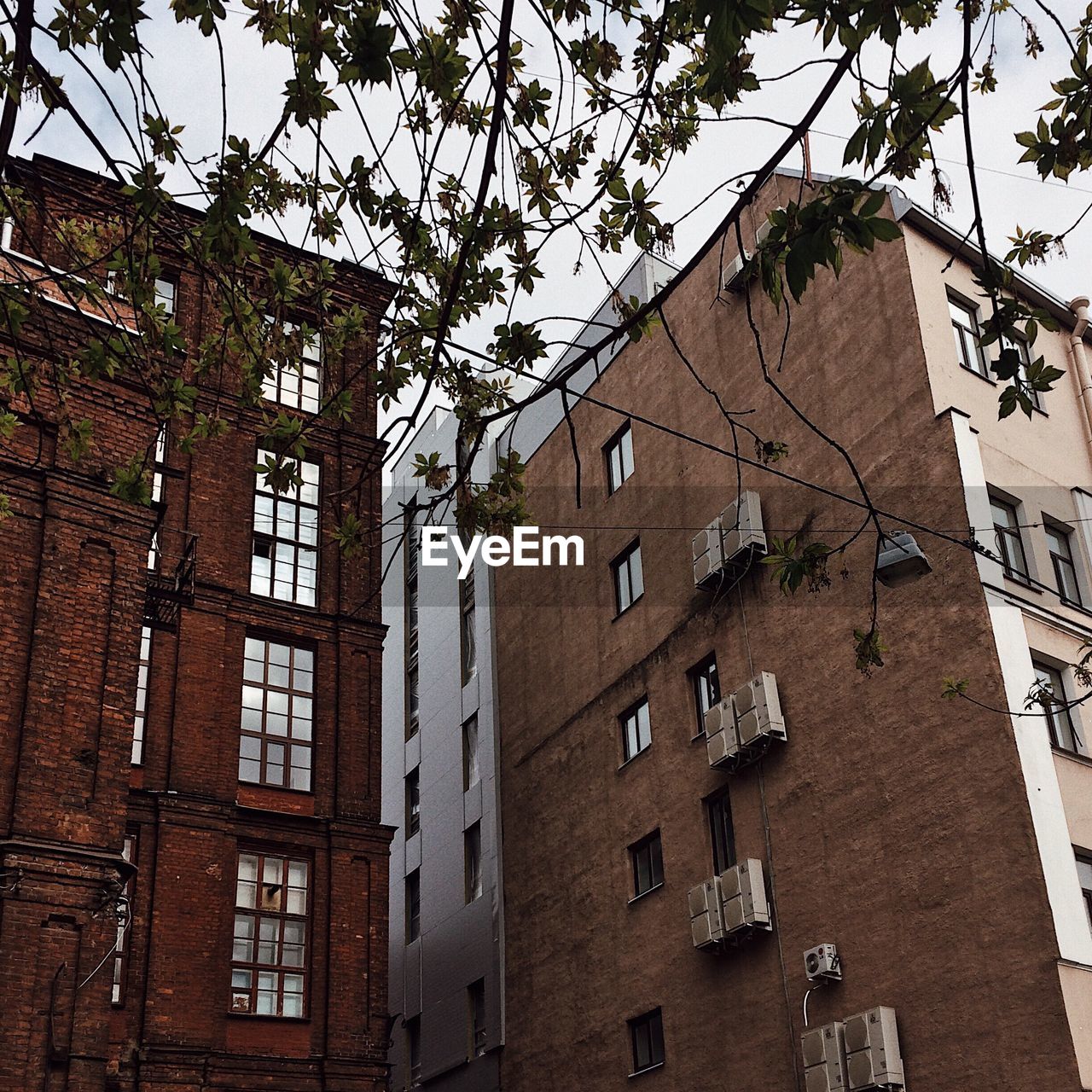 LOW ANGLE VIEW OF BUILDINGS AGAINST SKY