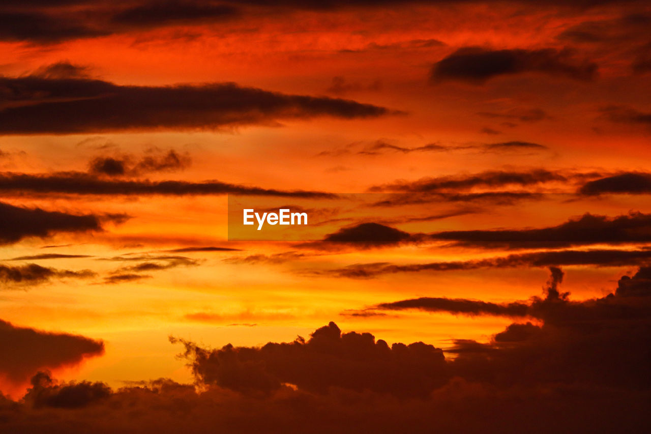 sky, cloud, sunset, afterglow, environment, beauty in nature, scenics - nature, red sky at morning, nature, dramatic sky, landscape, orange color, tranquility, silhouette, tranquil scene, no people, tree, sunlight, outdoors, idyllic, sun, cloudscape, horizon, land, atmospheric mood, vibrant color, multi colored, red, travel, travel destinations, twilight, dawn, awe, backgrounds, light - natural phenomenon, gold, yellow, evening, non-urban scene, plant, dark, tourism, forest, mountain, holiday, moody sky, religion