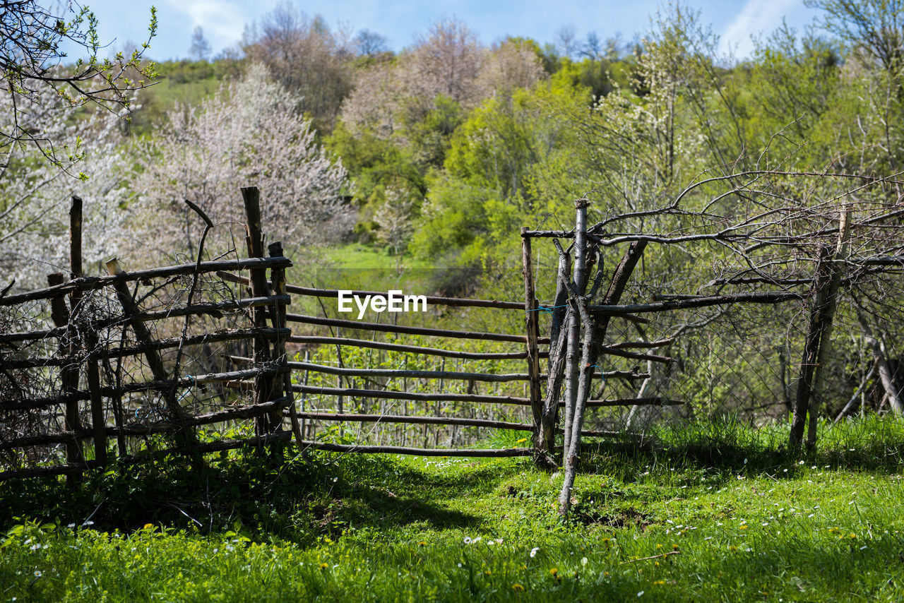 FENCE ON FIELD