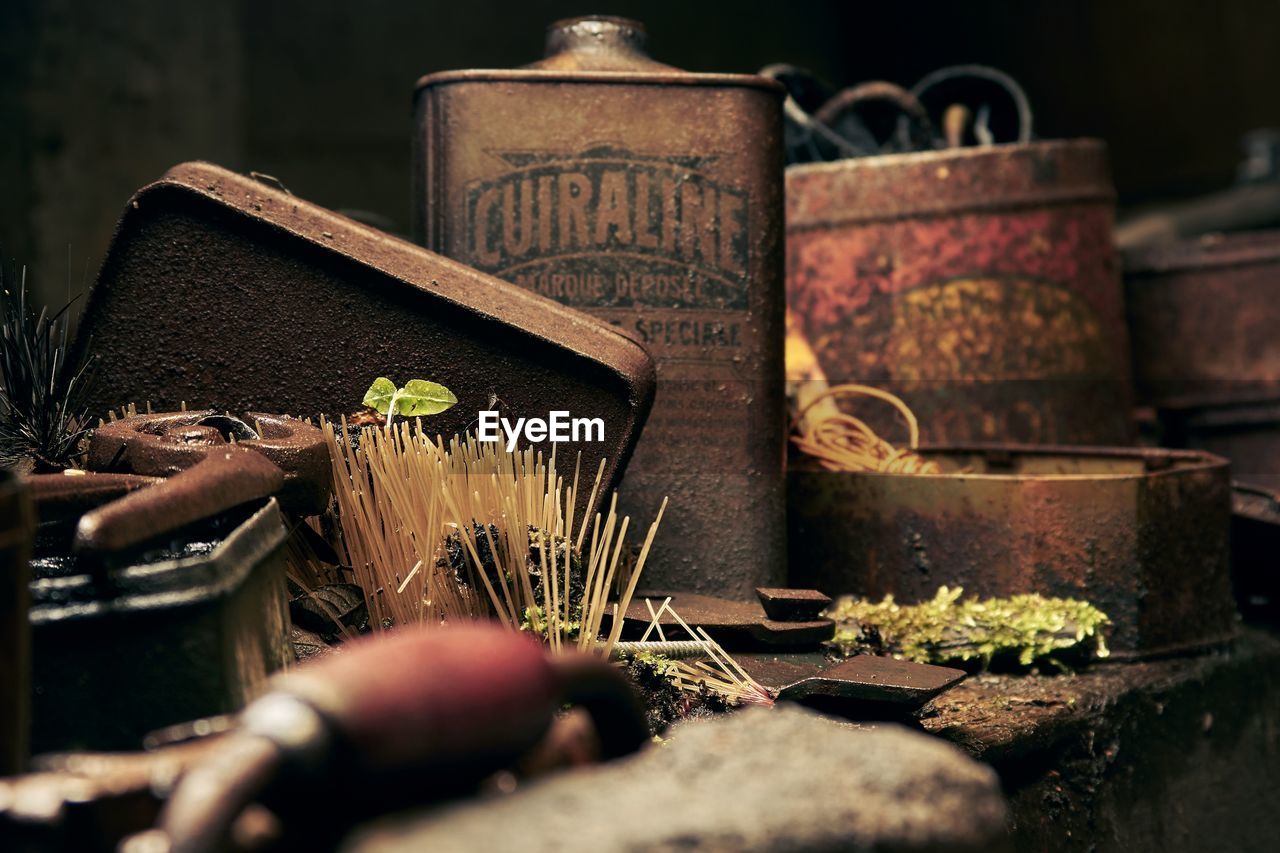 Plant growing amidst work tools