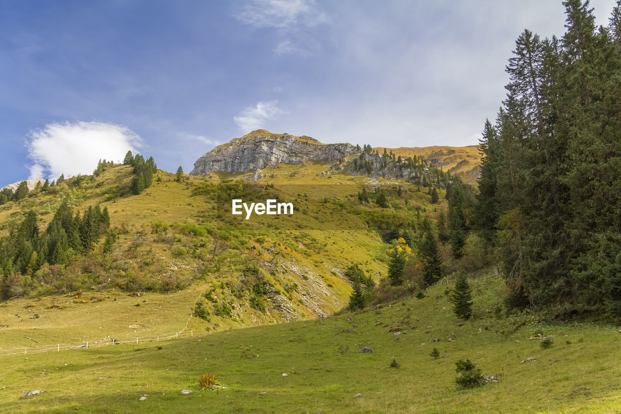 SCENIC VIEW OF LAND AGAINST SKY