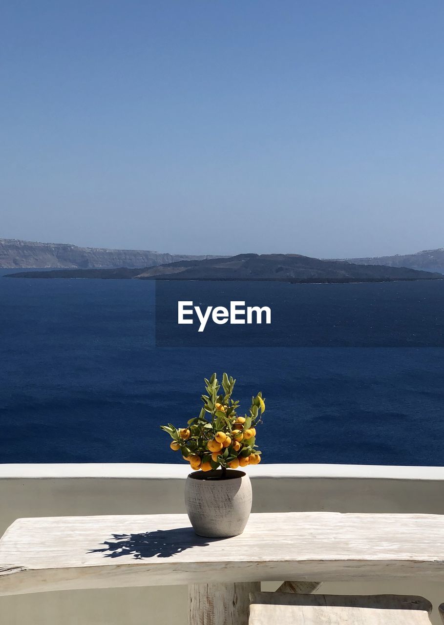 POTTED PLANTS ON TABLE BY SEA AGAINST SKY