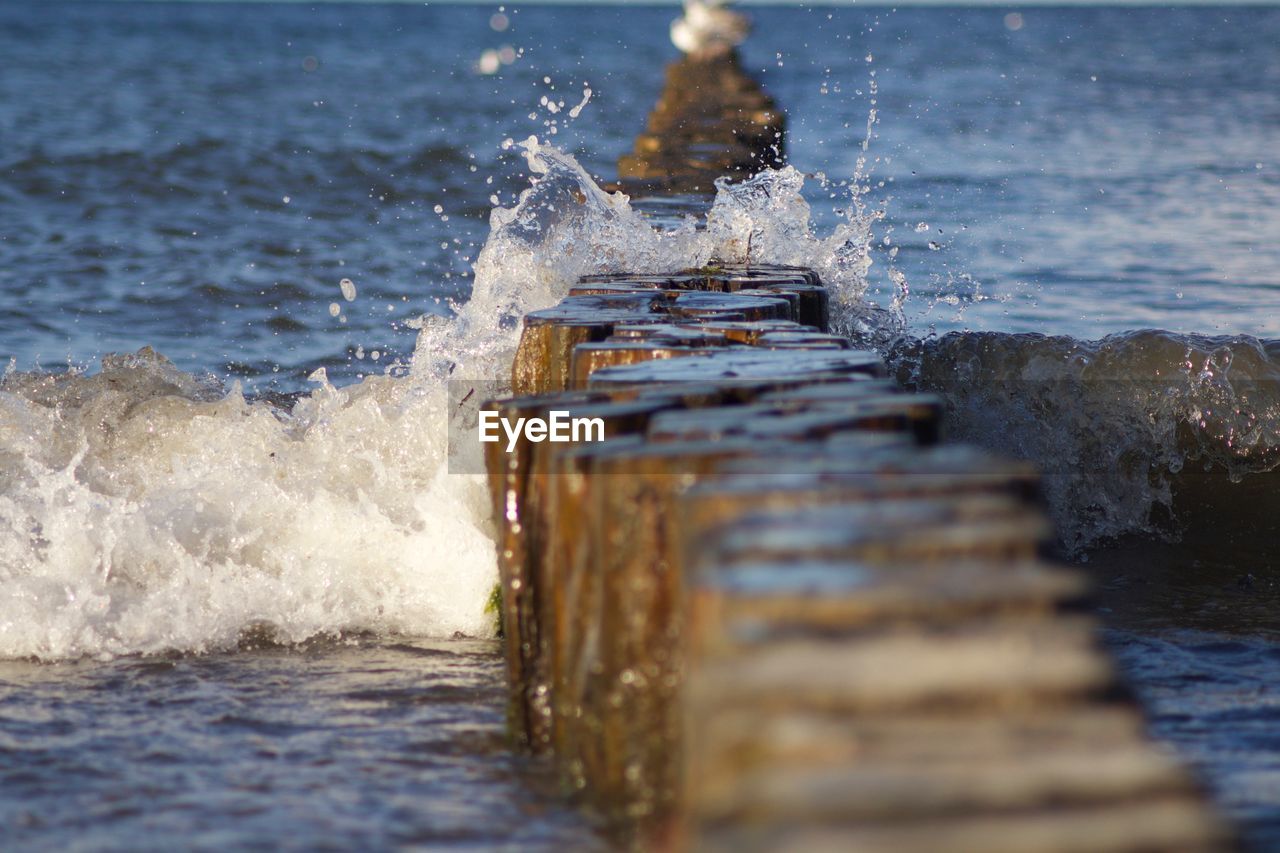 Close-up of wooden posts in sea