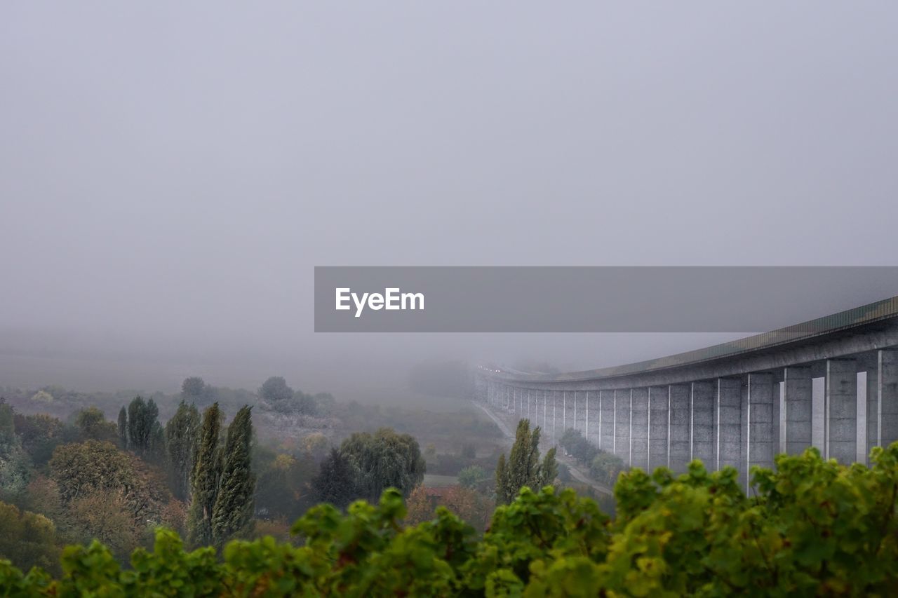 SCENIC VIEW OF TREES IN FOGGY WEATHER
