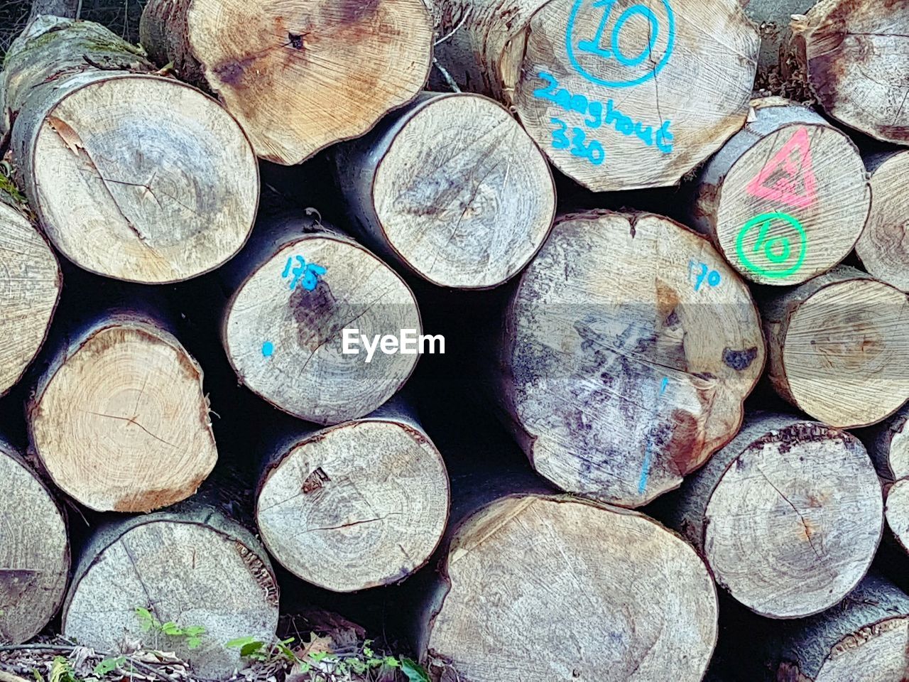 Full frame shot of logs