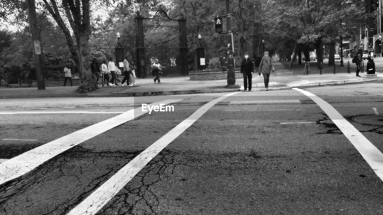 road, lane, street, tree, black and white, pedestrian crossing, city, transportation, plant, infrastructure, group of people, symbol, monochrome, sign, road marking, marking, monochrome photography, day, men, nature, large group of people, asphalt, road surface, the way forward, zebra crossing, women, lifestyles, outdoors, crowd, architecture, walking, sidewalk, adult, city life, leisure activity