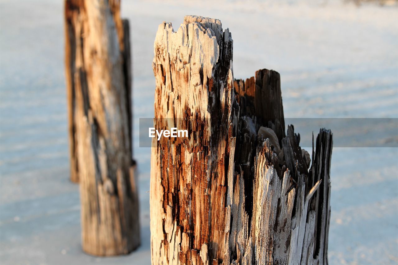 Close-up of wooden posts on beach