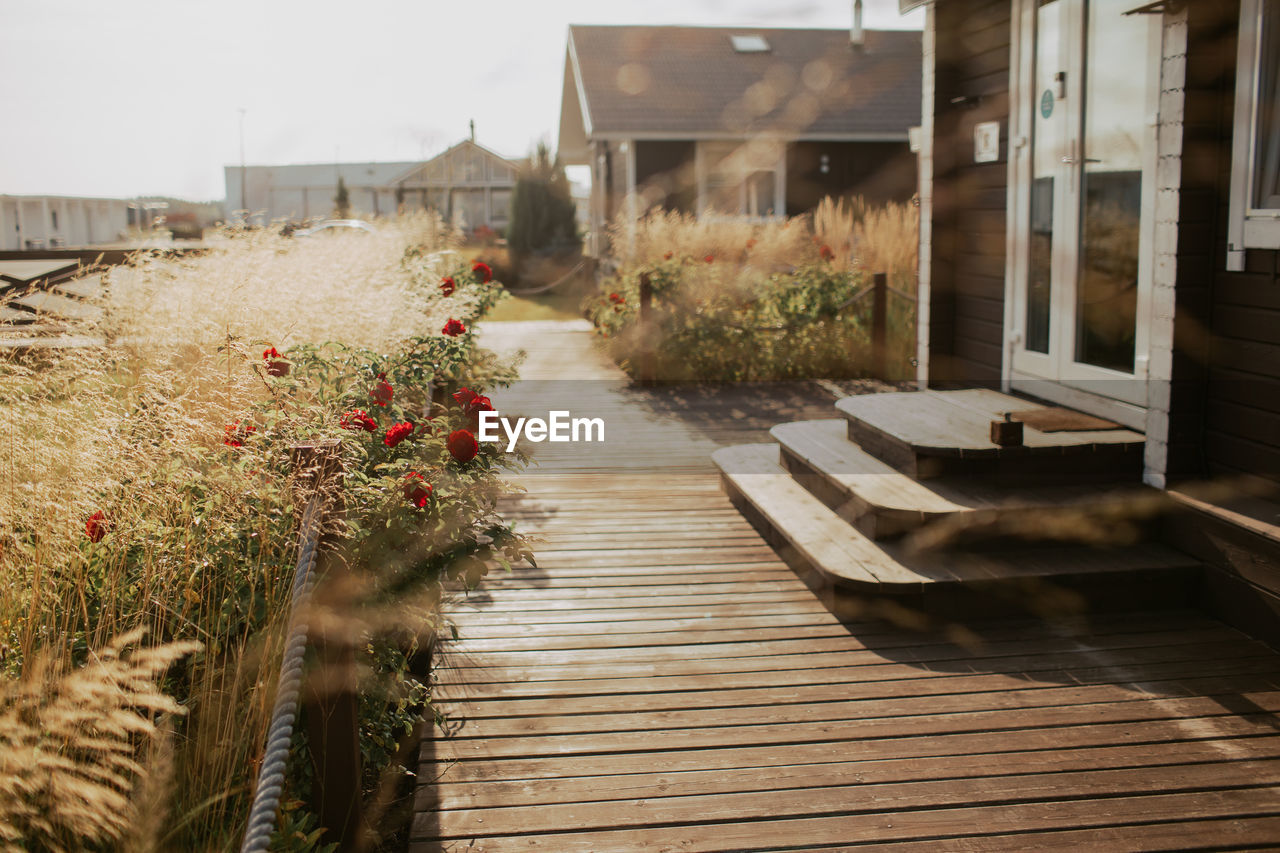 POTTED PLANTS BY FOOTPATH OUTSIDE HOUSE