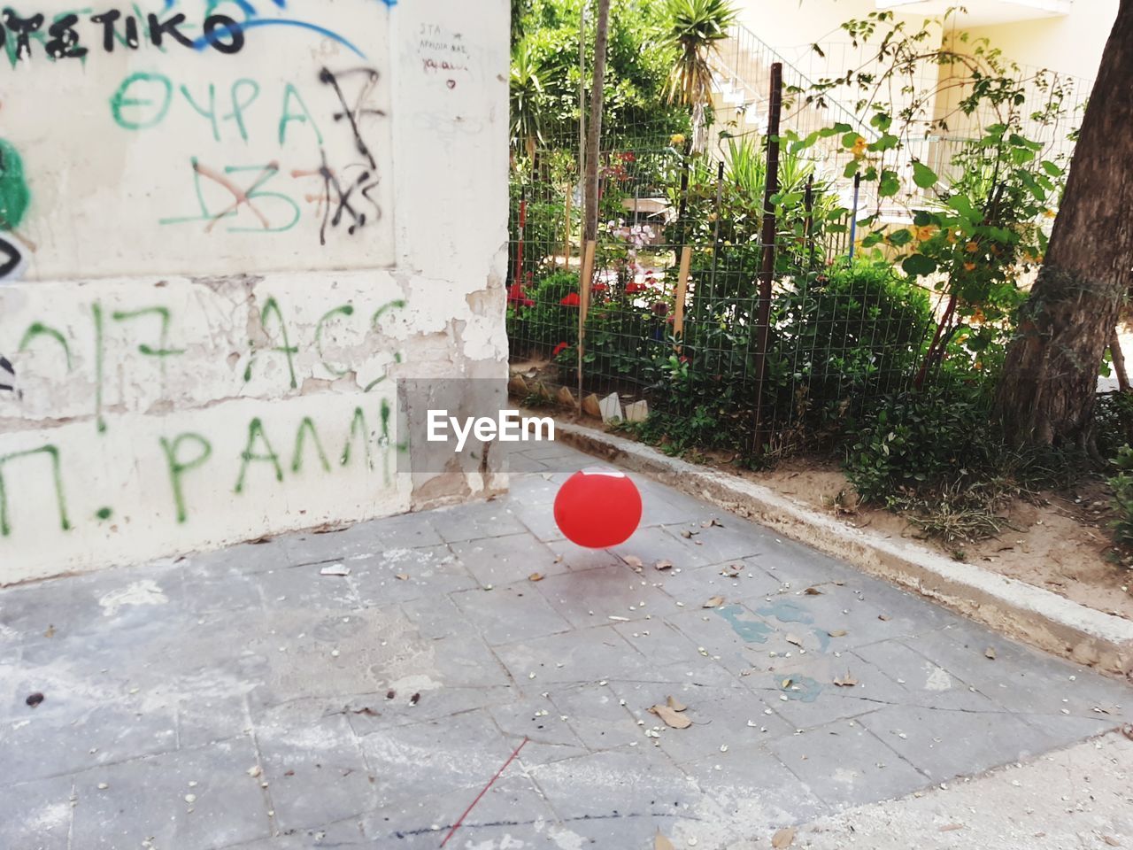 VIEW OF RED BALL AND PLANTS ON FOOTPATH