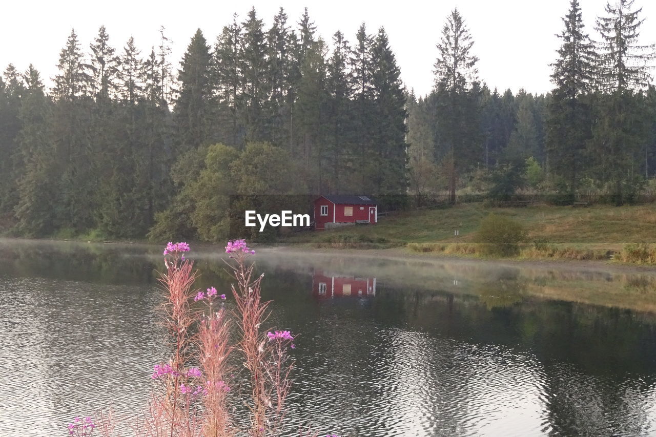 SCENIC VIEW OF LAKE WITH TREES REFLECTION