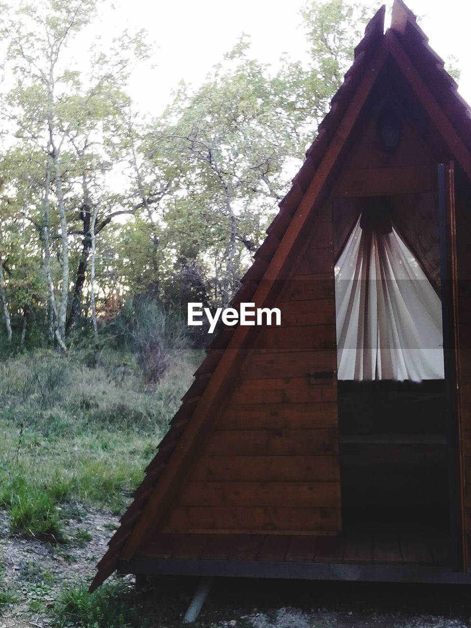 Wooden cabin in forest