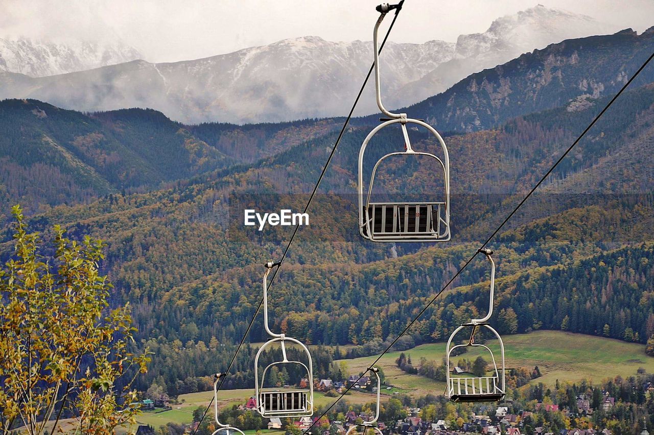 VIEW OF A SWING