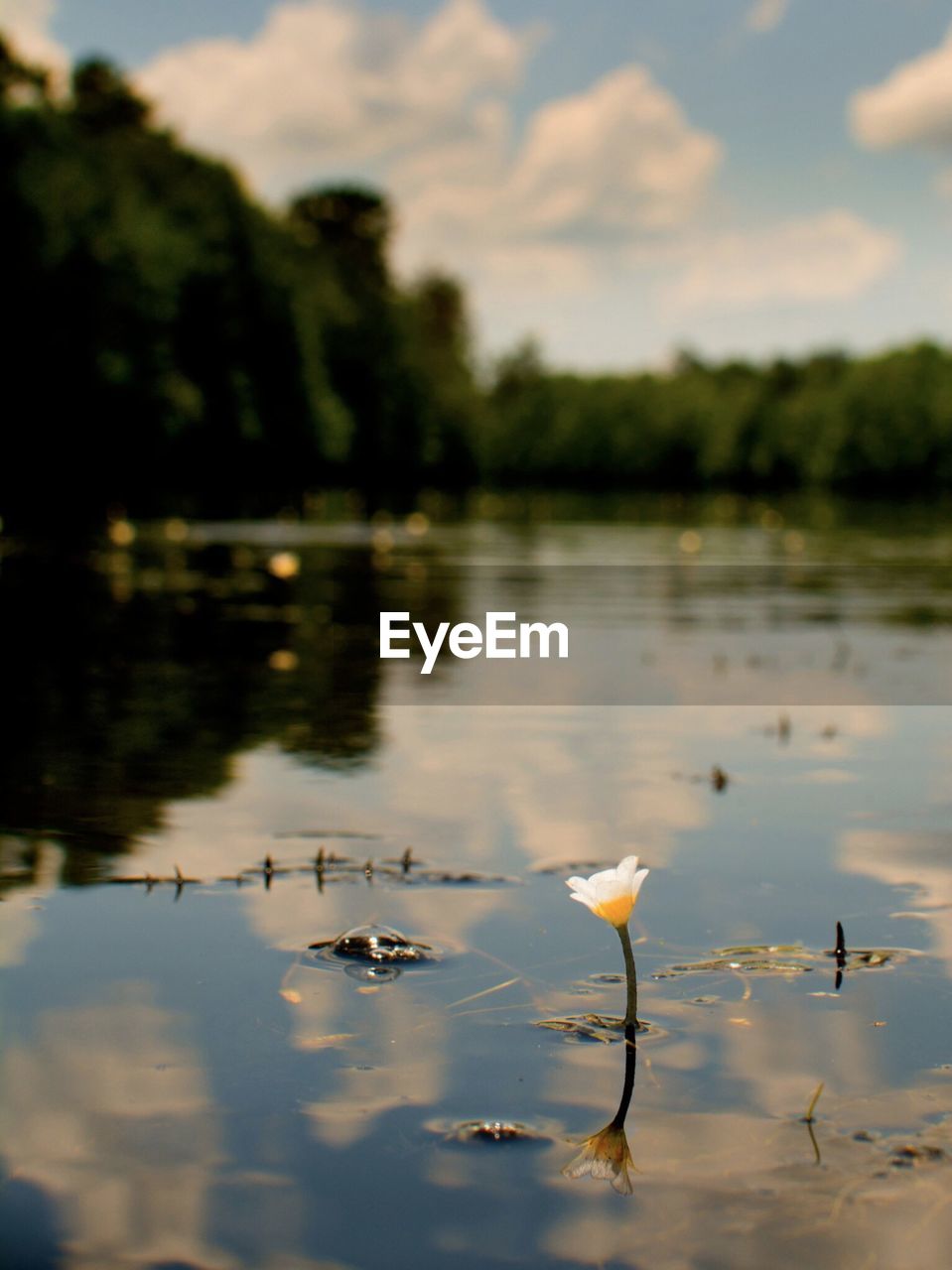 Scenic view of lake against blue sky