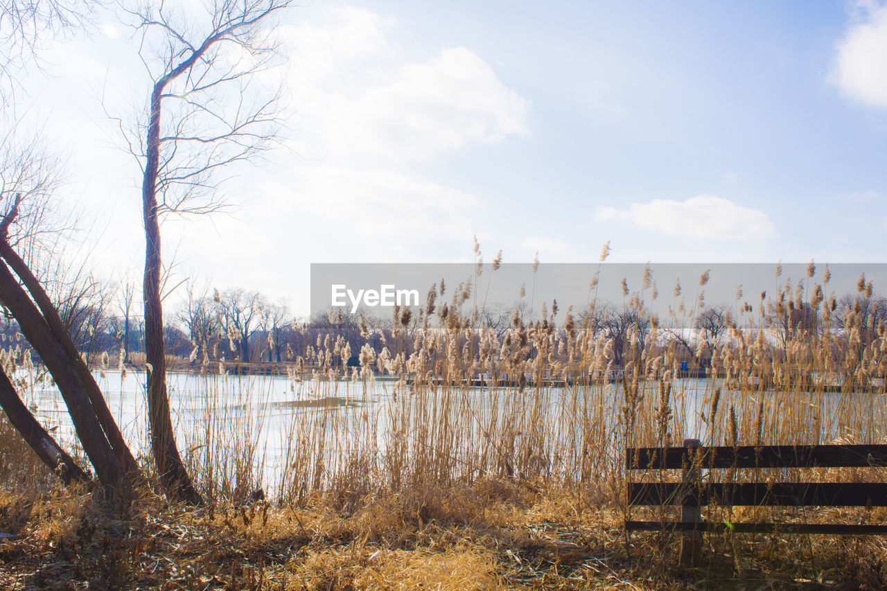 SCENIC VIEW OF LAKE