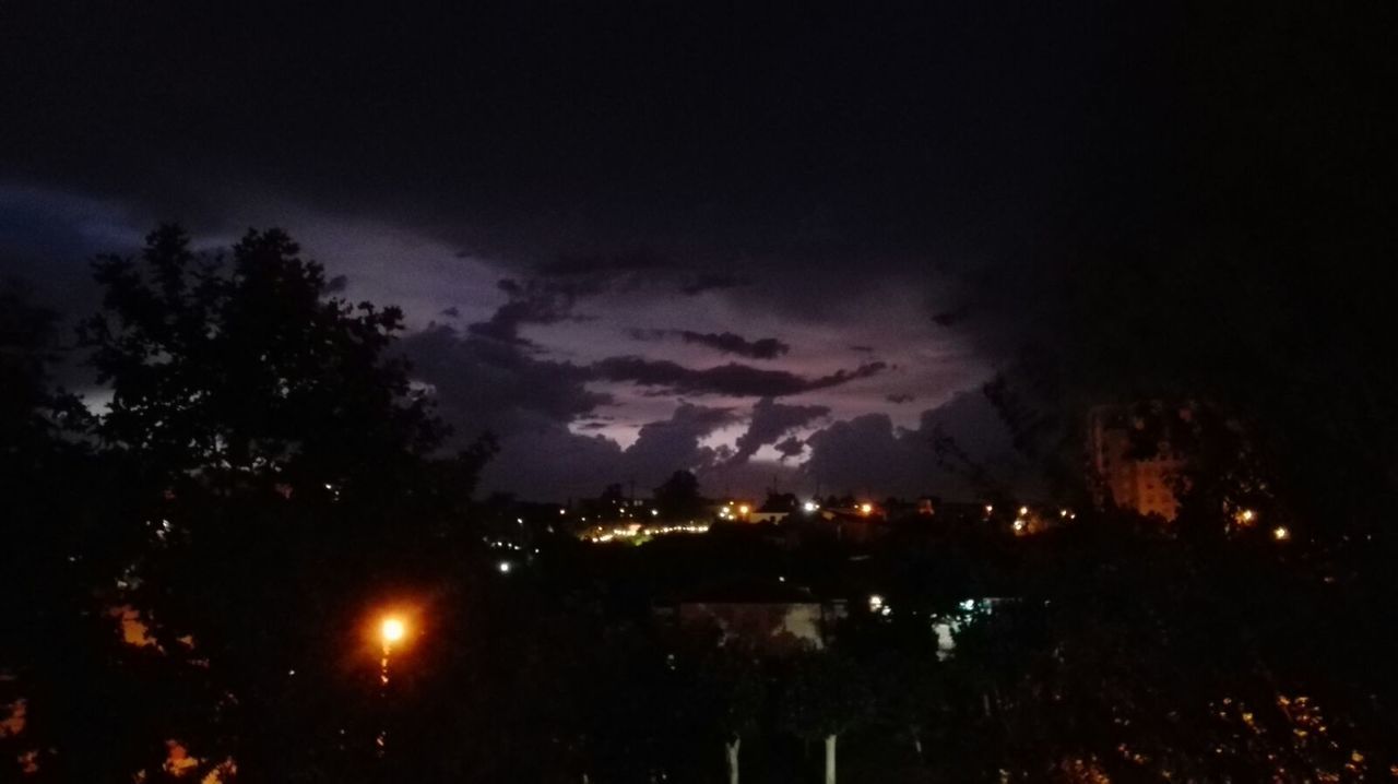 SCENIC VIEW OF ILLUMINATED TREES AGAINST SKY AT NIGHT