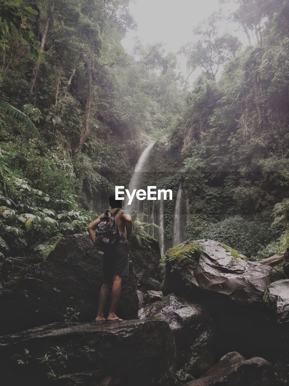 Full length rear view of man looking at waterfall in forest