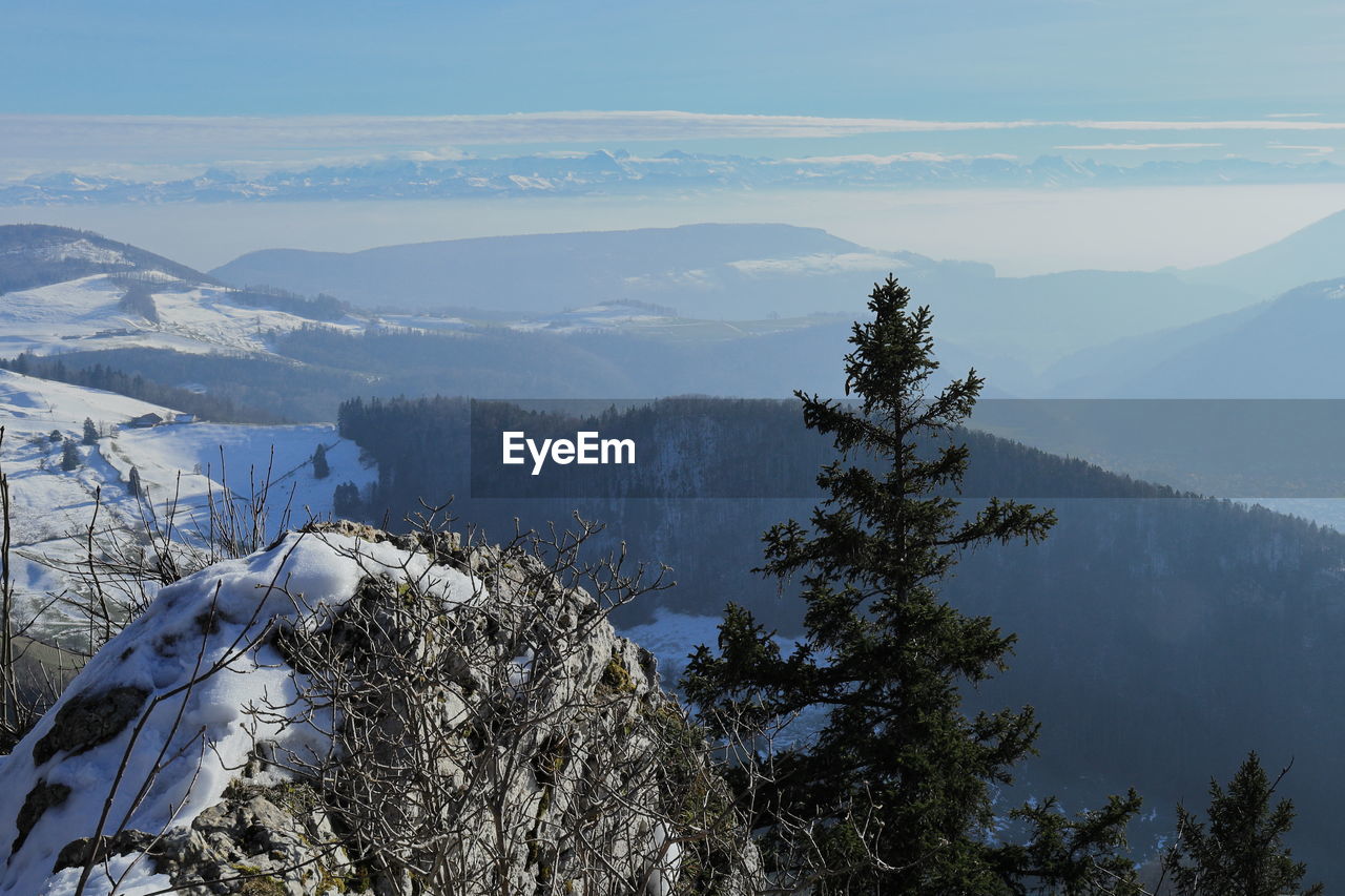 mountain, tree, scenics - nature, beauty in nature, plant, ridge, snow, mountain range, cold temperature, environment, winter, wilderness, sky, nature, landscape, tranquility, tranquil scene, pine tree, forest, coniferous tree, pinaceae, land, summit, no people, non-urban scene, pine woodland, snowcapped mountain, day, outdoors, cloud, travel destinations, travel, idyllic, fog, adventure, remote, mountain pass